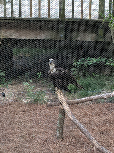 Amusement Center «The Adventure Park at Virginia Aquarium», reviews and photos, 801 General Booth Blvd, Virginia Beach, VA 23451, USA