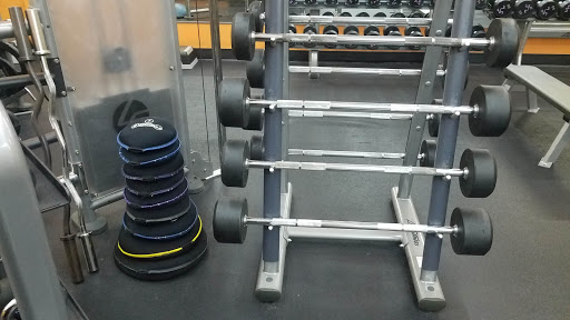 Health Club «Anytime Fitness Oldsmar», reviews and photos, 3161 Curlew Rd #6, Oldsmar, FL 34677, USA