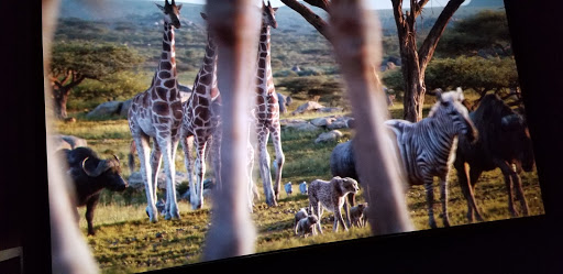 Movie Theater «Cinemark Christiana and XD», reviews and photos, 1200 Christiana Mall, Newark, DE 19702, USA