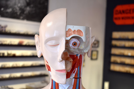 Optician «Labrabbit Optics», reviews and photos, 1104 N Ashland Ave, Chicago, IL 60622, USA