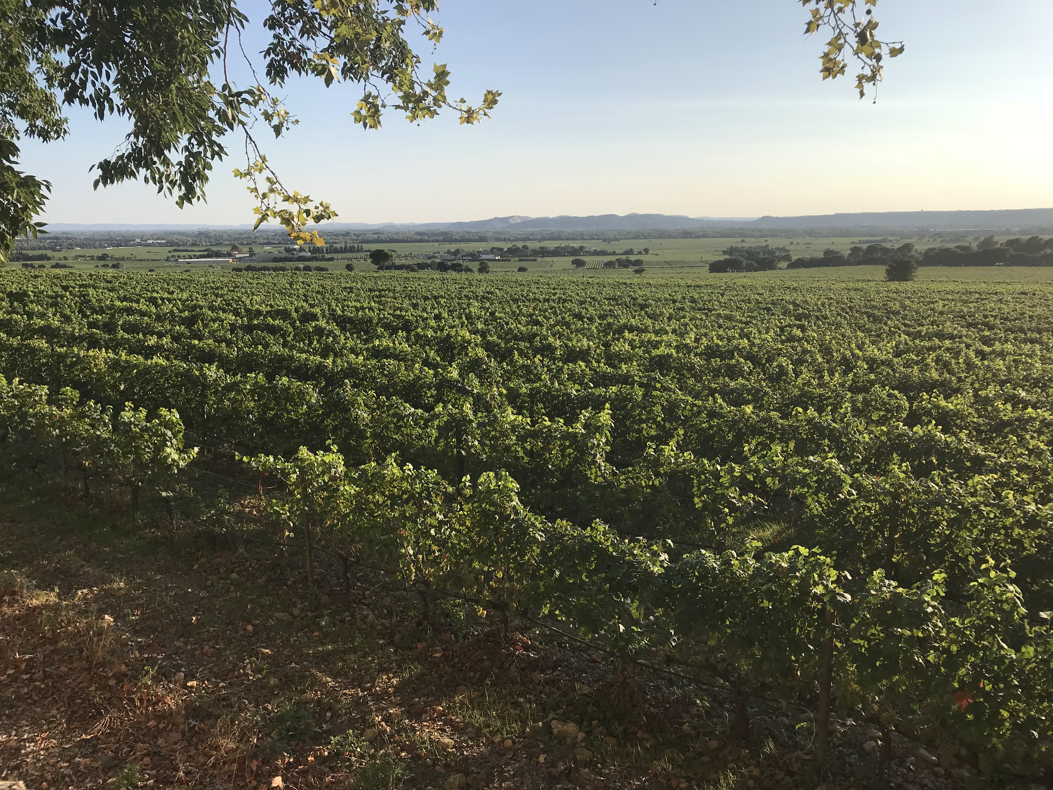 Photo n° 1 de l'avis de Houses.e fait le 13/09/2018 à 13:52