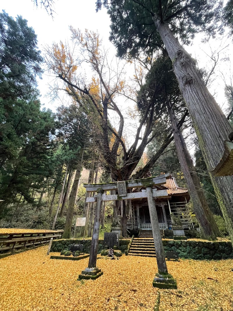 大杉神社