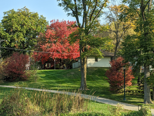 Public University «The University of Iowa», reviews and photos