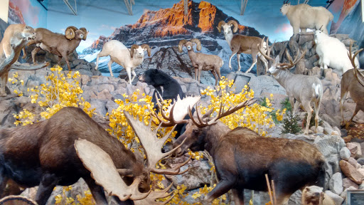 Outdoor Sports Store «Field & Stream», reviews and photos, 3851 Chapel Ln, Hoover, AL 35244, USA