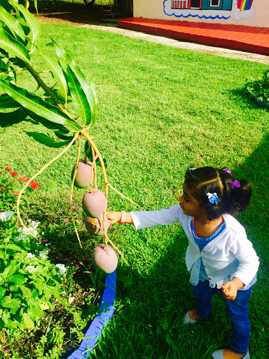 Day Care Center «Little Masters Child Care Center», reviews and photos, 2701 N State Rd 7, Lauderdale Lakes, FL 33313, USA