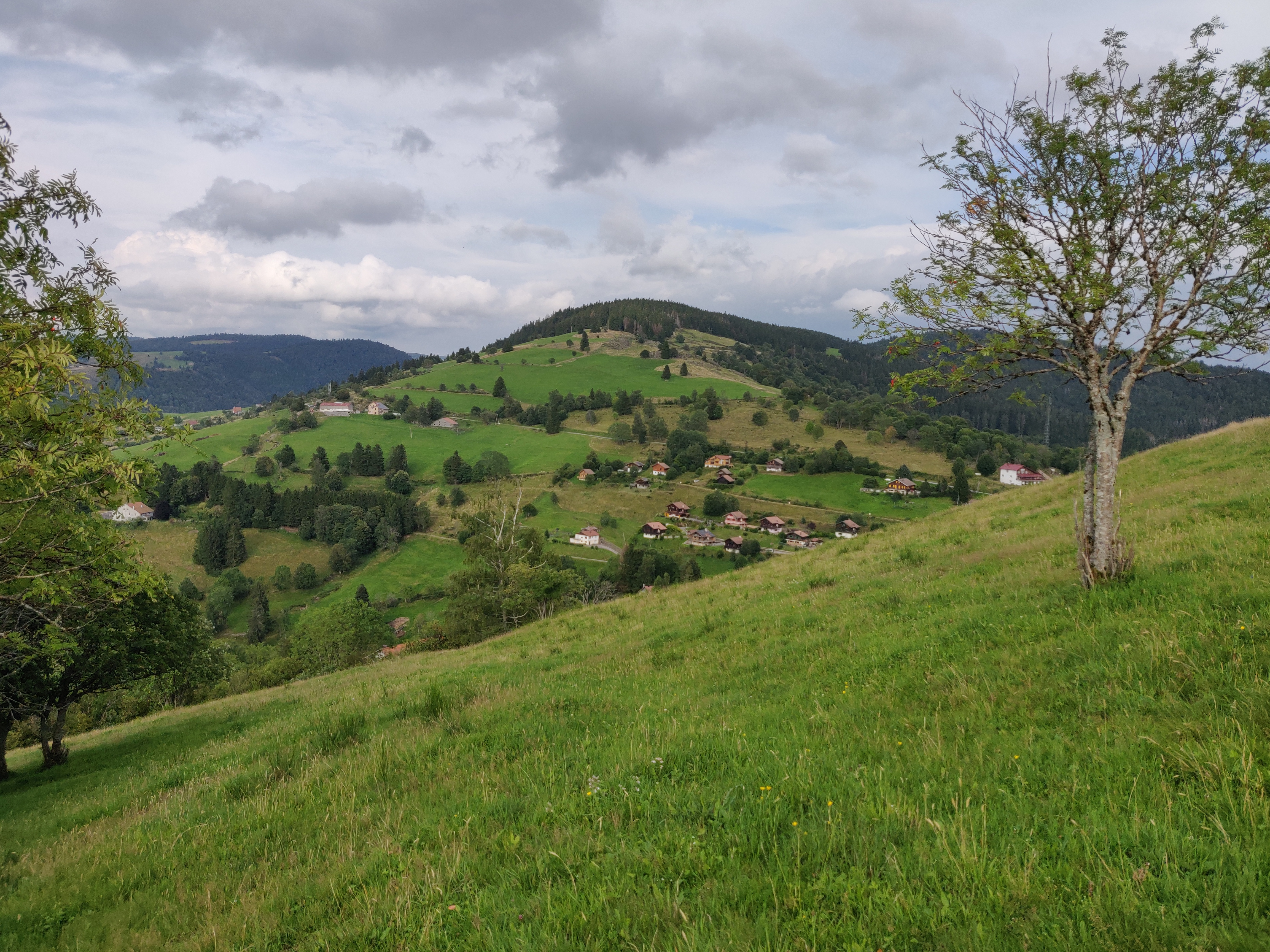 Photo n° 3 de l'avis de Pierre.e fait le 16/08/2023 à 12:21