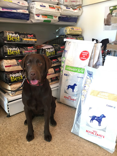 Centro Veterinario Premià de Dalt en Premià de Mar