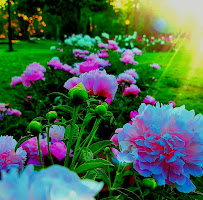 Finesse photography - Photo 4 - Car repair in , Detroit