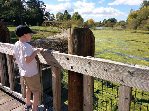 Park «Commonwealth Lake Park», reviews and photos, SW Butner Rd & SW Huntington Ave, Cedar Hills, OR 97225, USA