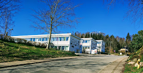 Kirkebakkeskolen (Vejle)