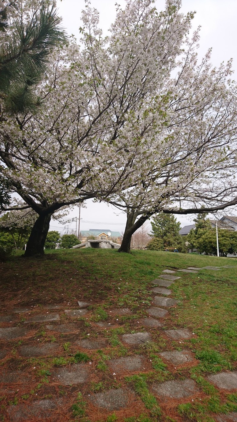 高洲北街区公園