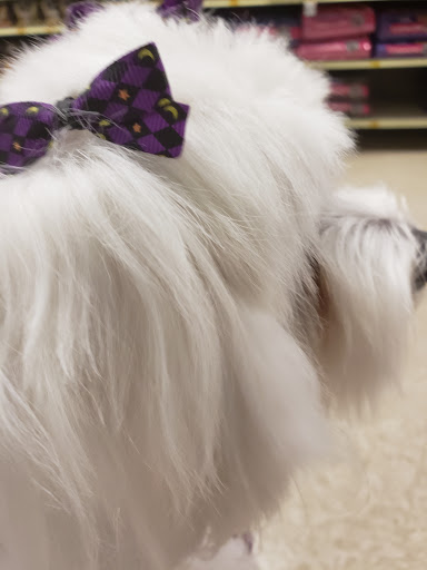 Pet Supply Store «PetSmart», reviews and photos, 24 Countryside Plaza, Countryside, IL 60525, USA