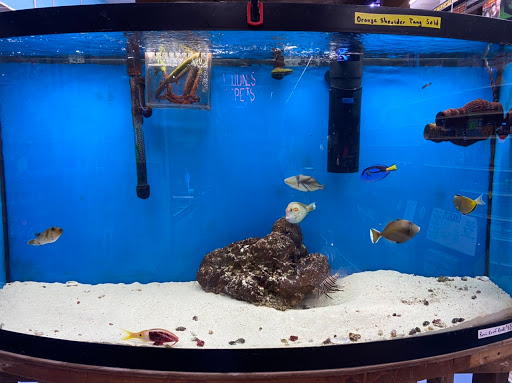 Pet Store «Jules Pet Shop», reviews and photos, 2214 N Milwaukee Ave, Chicago, IL 60647, USA