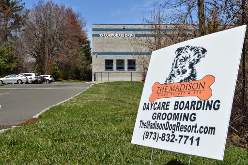 The Madison Dog Resort & Spa