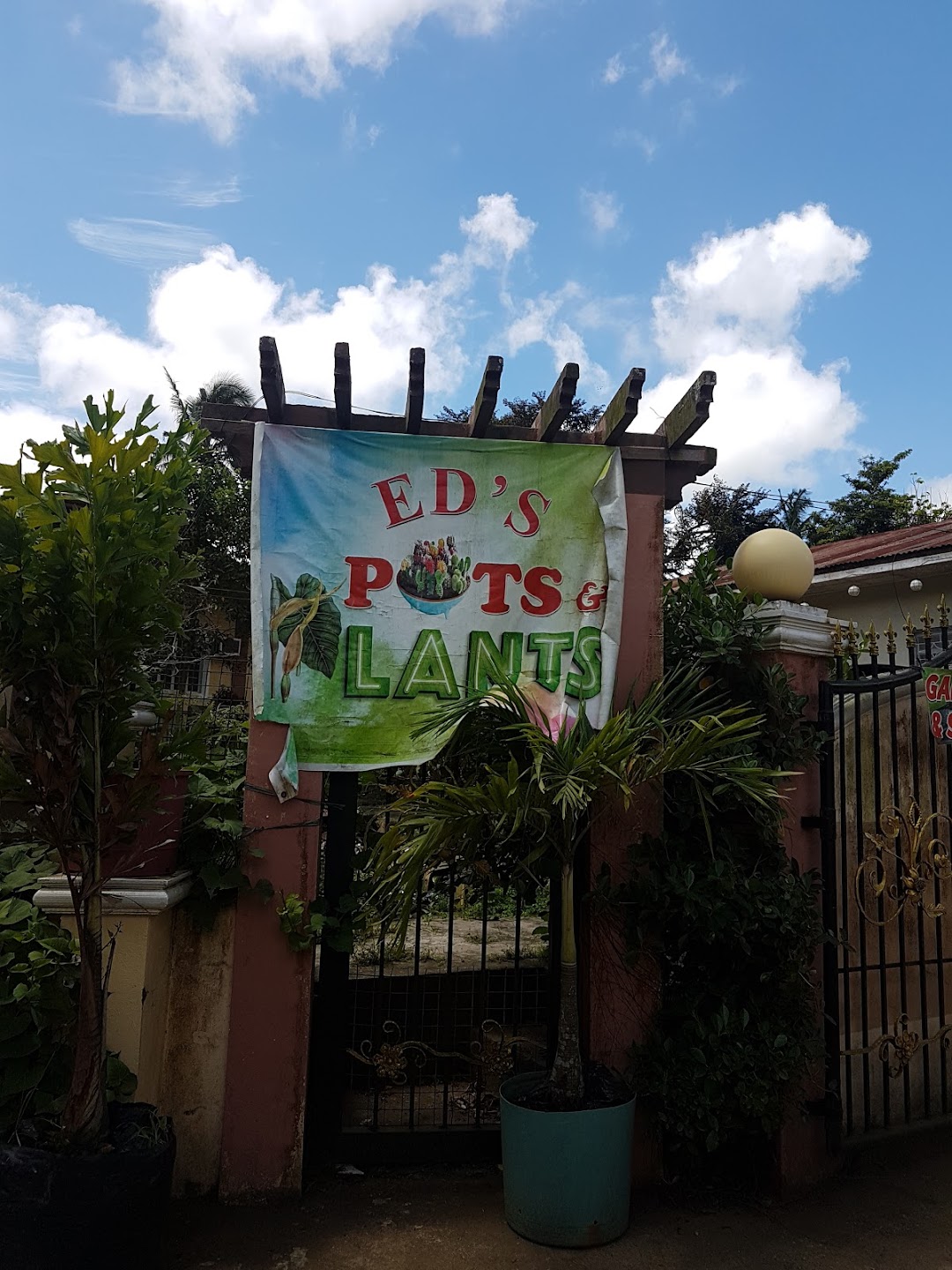 Eds Pots and Plants
