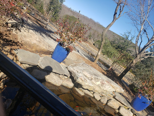 Vineyard «Frogtown Cellars», reviews and photos, 700 Ridge Point Dr, Dahlonega, GA 30533, USA