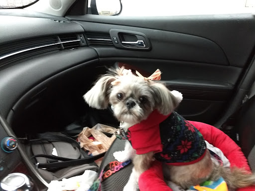 Pet Supply Store «PetSmart», reviews and photos, 45050 Northpointe Blvd, Utica, MI 48315, USA