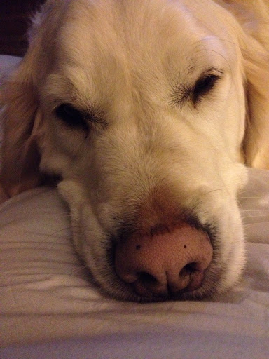 Criminal Justice Attorney «Kilroy Law Firm», reviews and photos