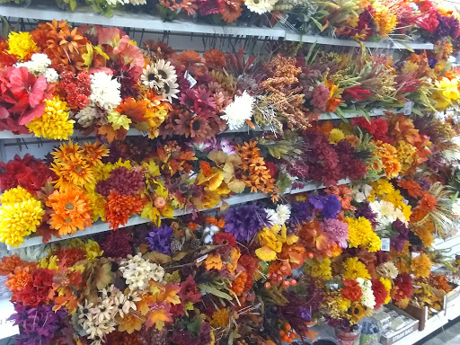 Dollar Store «Dollar Tree», reviews and photos, 1537 Bethlehem Pike, Hatfield, PA 19440, USA