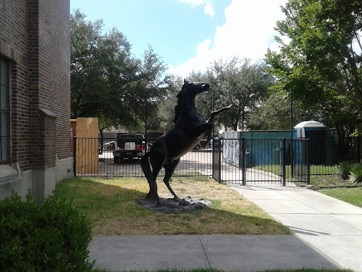 Museum «Buffalo Soldiers Museum», reviews and photos, 3816 Caroline St, Houston, TX 77004, USA