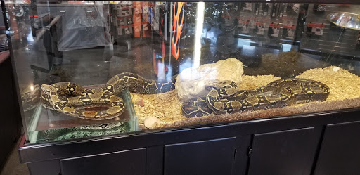 Harley-Davidson Dealer «Buddy Stubbs Anthem Harley-Davidson», reviews and photos, 41715 N 41st Dr, Anthem, AZ 85086, USA