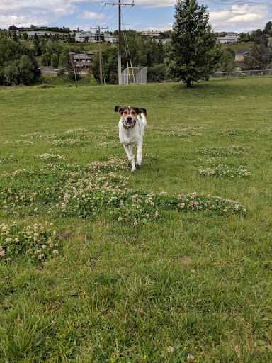 Whitman County Humane Society