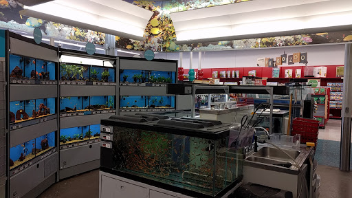 Pet Supply Store «Petco Animal Supplies», reviews and photos, 1111 S Main St #100, Bowling Green, OH 43402, USA