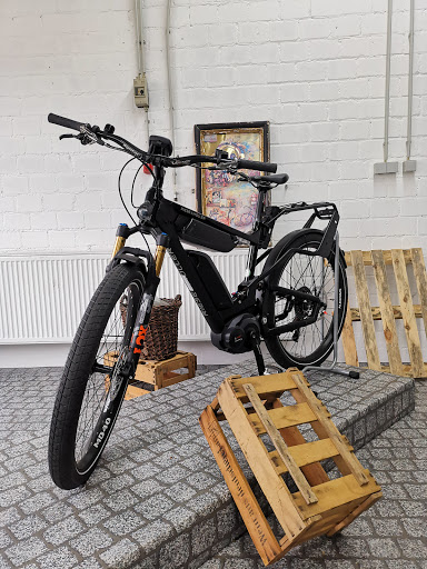 e-motion e-Bike Welt, Dreirad-Zentrum & Lastenfahrrad-Zentrum Heidelberg