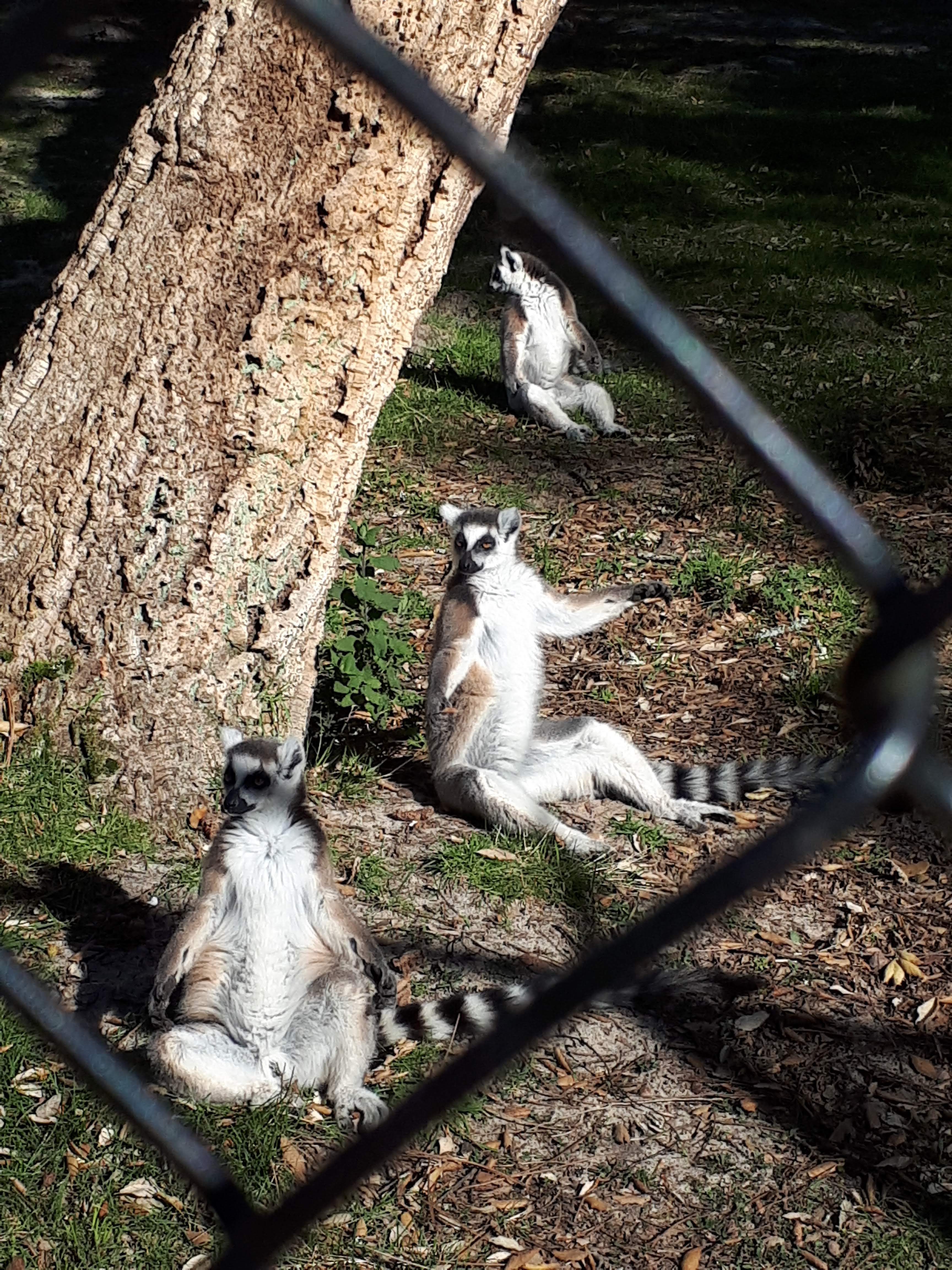 Photo n° 2 de l'avis de Anne. fait le 03/04/2019 à 08:39