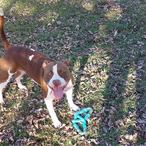 Pet Supply Store «Petco Animal Supplies», reviews and photos, 200 McMahan Blvd, Marion, OH 43302, USA