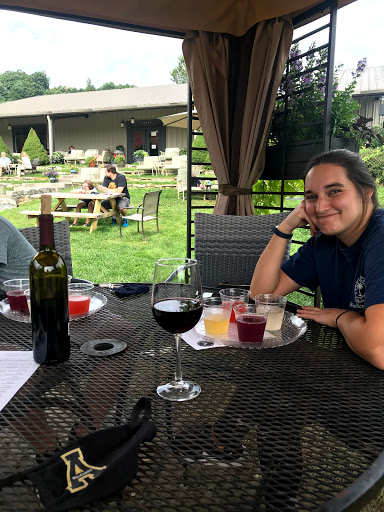 Winery «Banner Elk Winery & Villa», reviews and photos, 60 Deer Run Rd, Banner Elk, NC 28604, USA