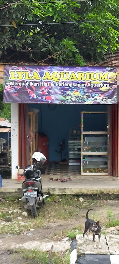 Lyla Aquarium