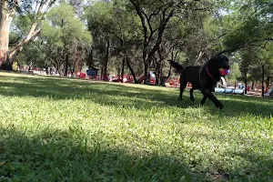 Perro Parque León image