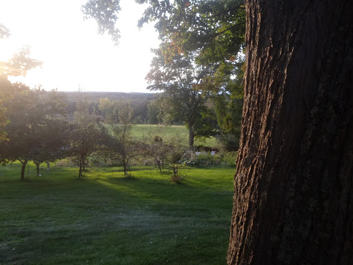 Liquor Store «Hampden Discount Liquors», reviews and photos, 7 Allen St, Hampden, MA 01036, USA