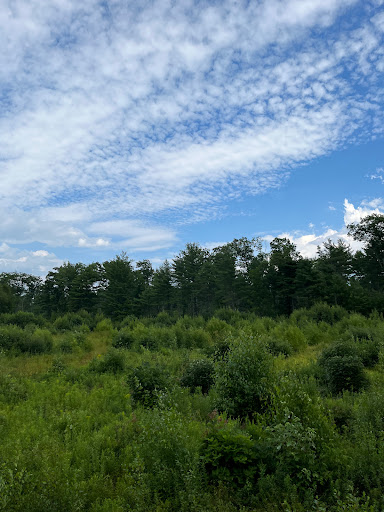 Museum «Seashore Trolley Museum», reviews and photos, 195 Log Cabin Rd, Kennebunkport, ME 04046, USA
