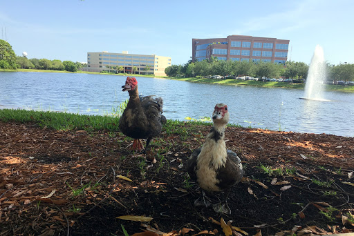 Health Insurance Agency «Coventry Health Care of Florida», reviews and photos