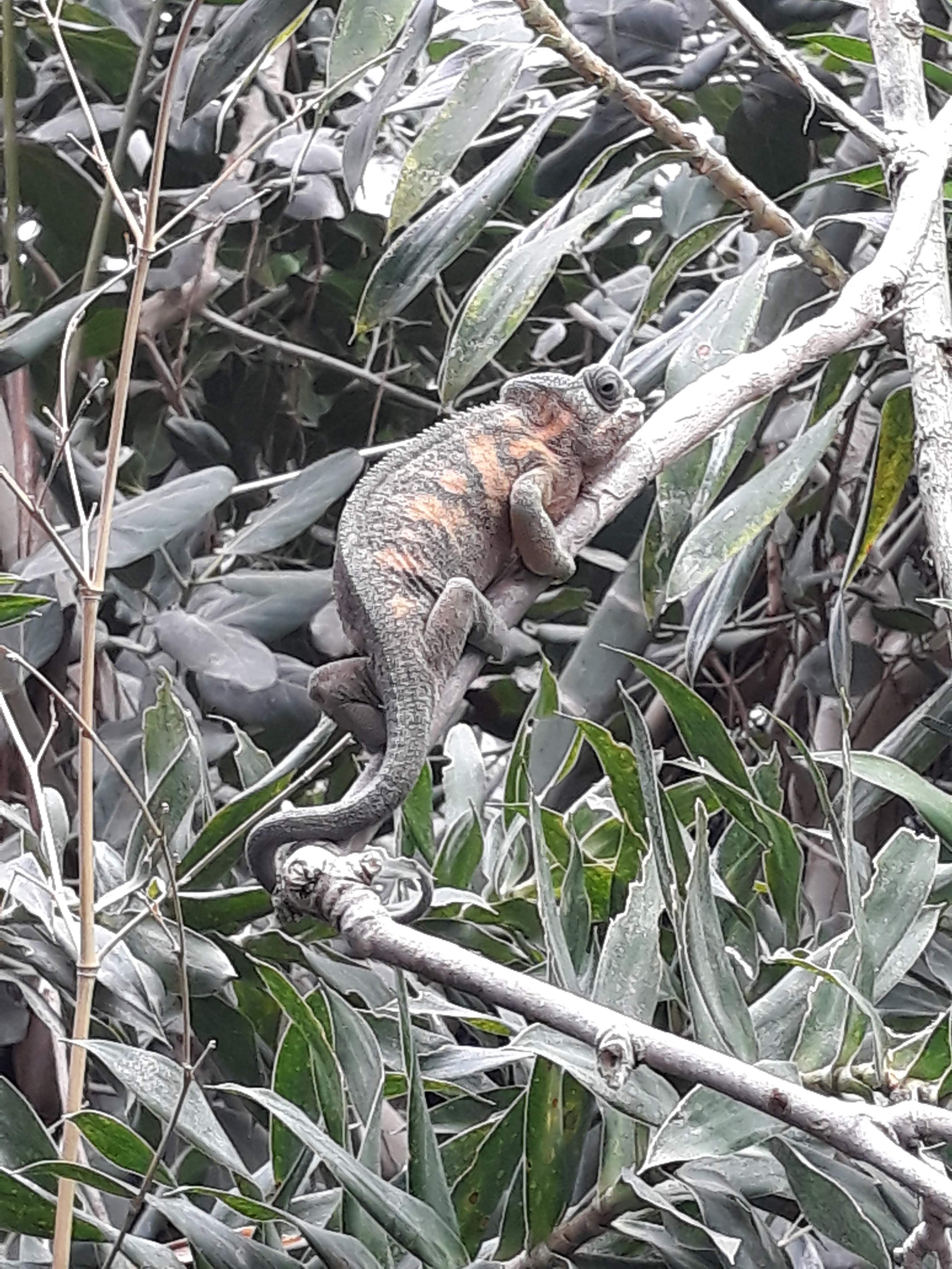 Photo n° 10 de l'avis de Ludo.a fait le 30/08/2021 à 17:15