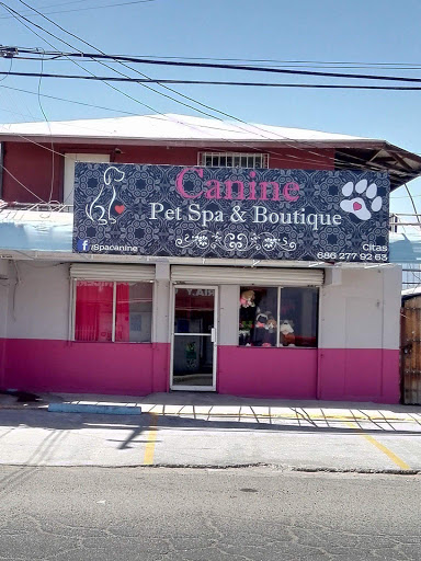 Pet Spa & Boutique