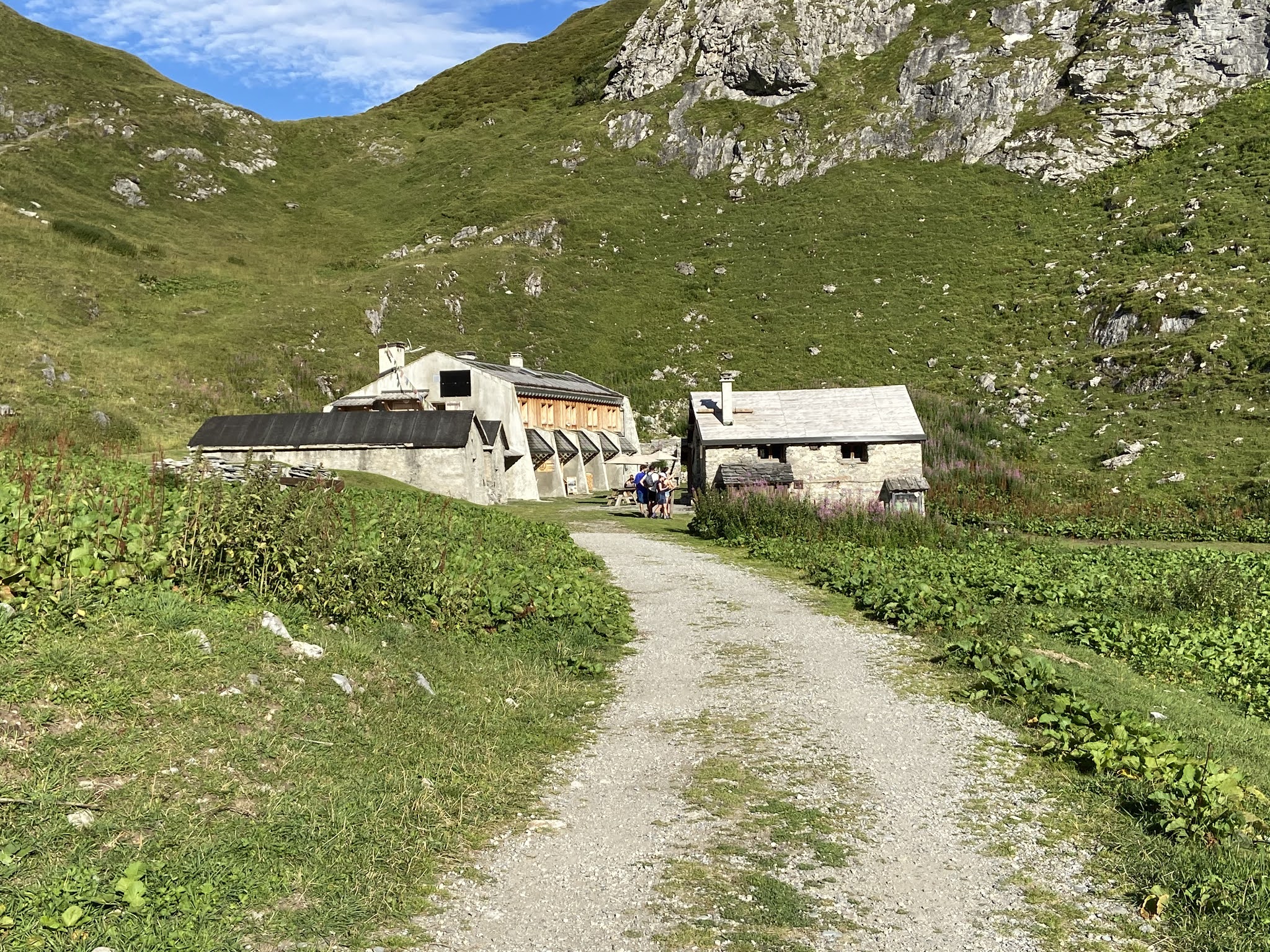 Photo n° 2 de l'avis de Louis-Philippe.e fait le 19/11/2020 à 13:23