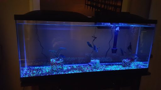 Tropical Fish Store «Sunset Pet & Supplies», reviews and photos, 1373 Sunset Blvd, Los Angeles, CA 90026, USA