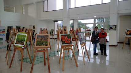 Centro de Arte y Exposiciones 'La Usina'