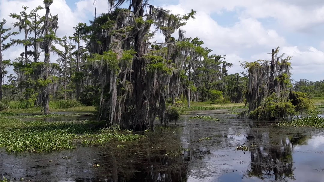 Annie Millers Sons Swamp and Marsh Tours