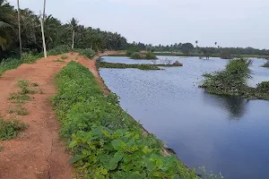Vellalore Lake image