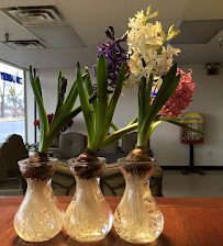 FRIENDLY LAUNDRY - Photo 7 - Car repair in Louisville, KY, Louisville