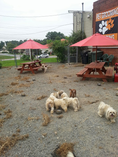 Dog Grooming Marietta