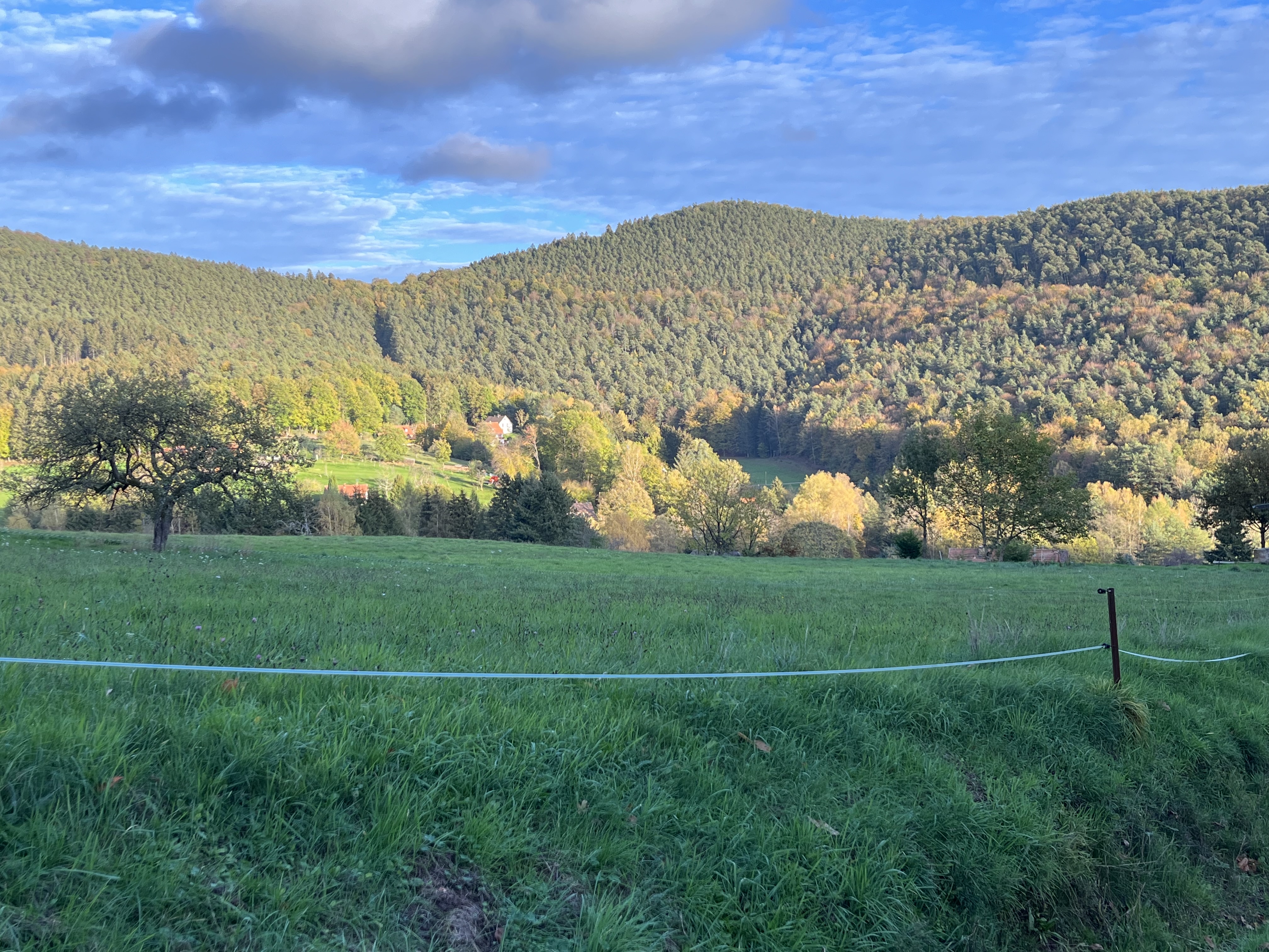 Photo n° 2 de l'avis de Audrey.r fait le 06/11/2022 à 05:24