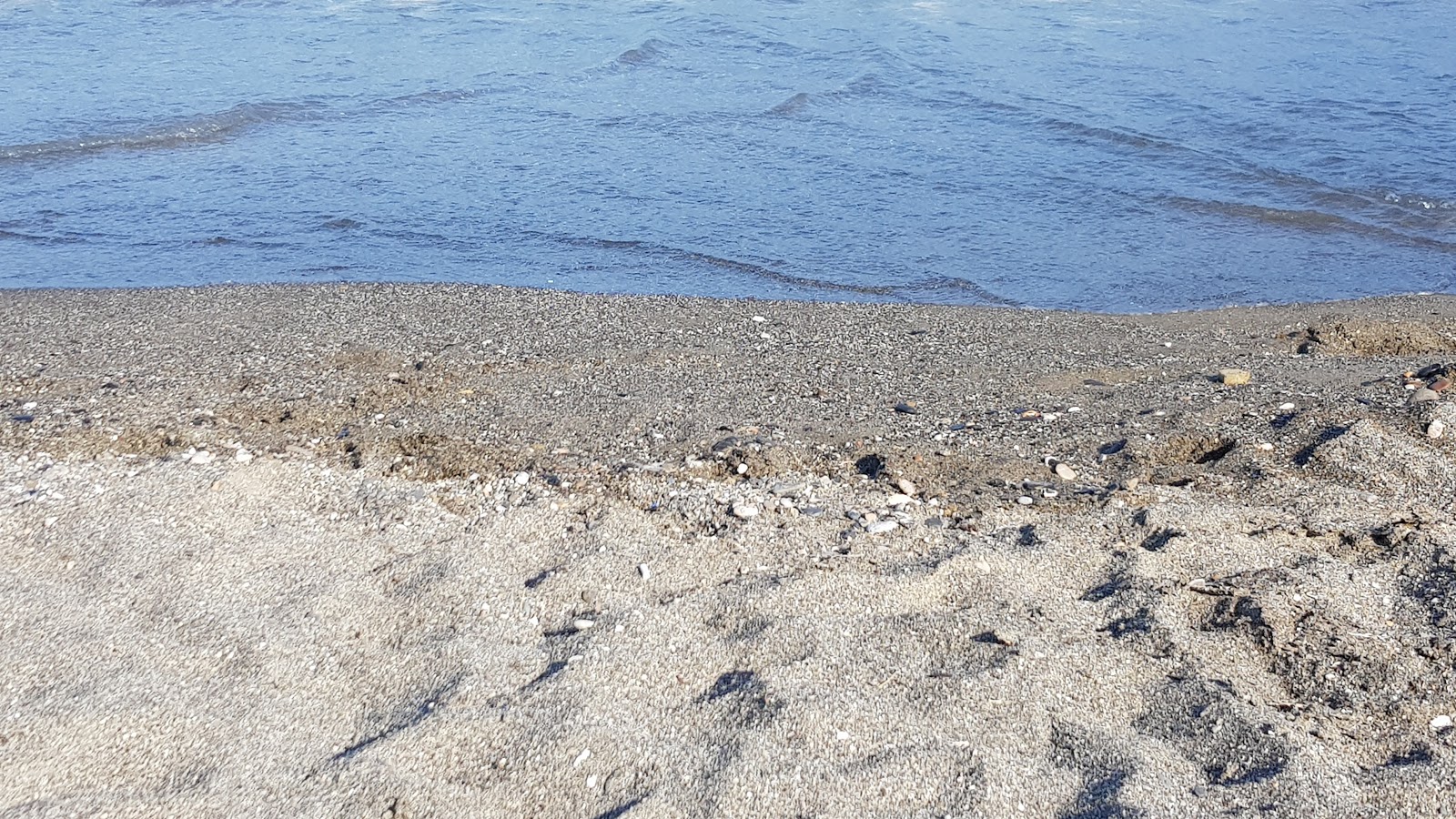 Photo de Chiringuito beach et le règlement