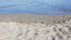 Photo de Chiringuito beach et le règlement