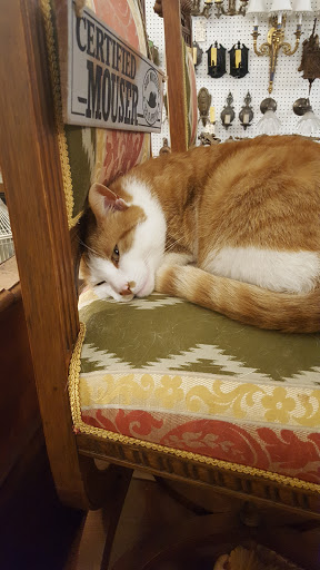 Antique Store «Architectural Antiques Of Indianapolis», reviews and photos, 5000 West 96th Street, Indianapolis, IN 46268, USA