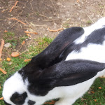 Photo n°4 de l'avis de Super.a fait le 20/09/2020 à 16:41 sur le  Sella-Alm à Sëlva